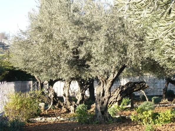 P1000749