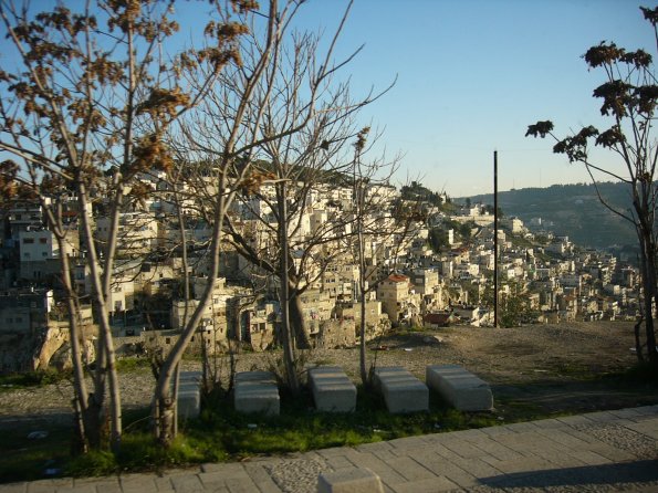 P1000750